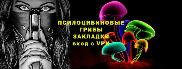 твердый Ельня