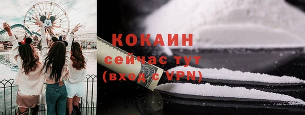 твердый Ельня