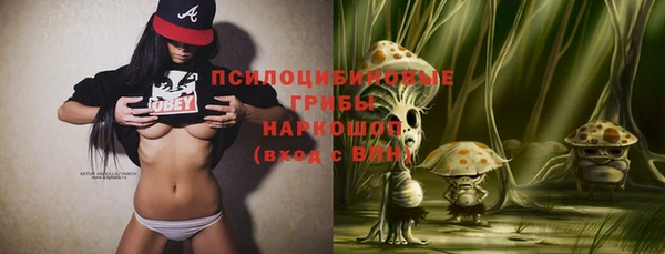 твердый Ельня