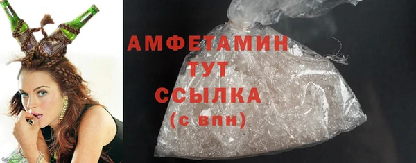твердый Ельня