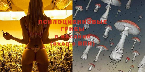 прущие крисы Елабуга