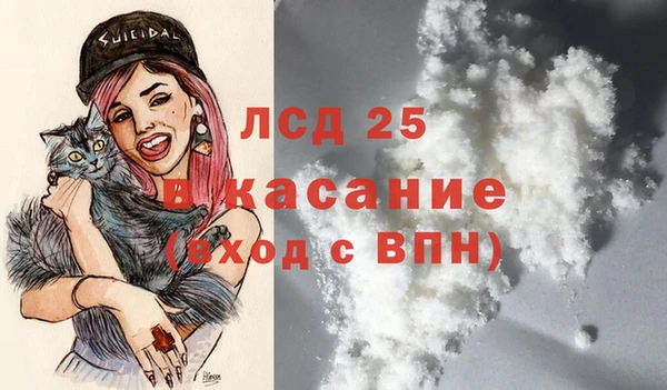 твердый Ельня