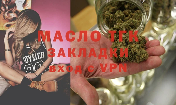 твердый Ельня
