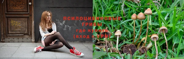 трава Елизово