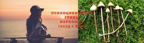 твердый Ельня