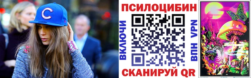Псилоцибиновые грибы прущие грибы  купить  сайты  Чебоксары 